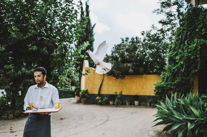 Portugal Destination Wedding - Quinta De Santana - by She Takes Pictures He Makes Films-167