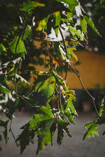 Portugal Destination Wedding - Quinta De Santana - by She Takes Pictures He Makes Films-234