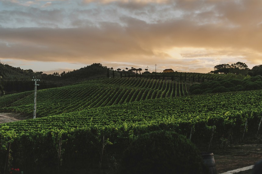 Portugal Destination Wedding - Quinta De Santana - by She Takes Pictures He Makes Films-246
